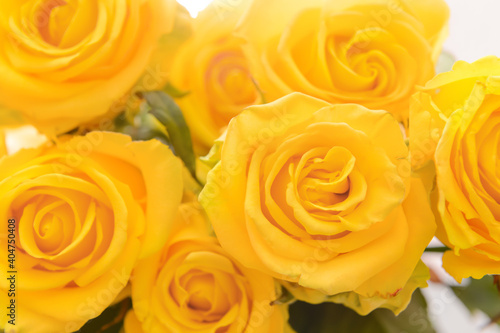 Bouquet of beautiful yellow roses, closeup