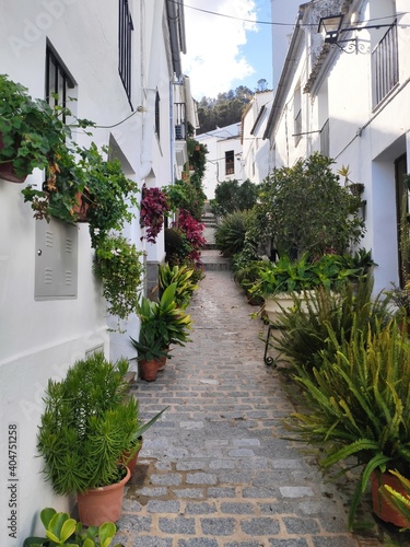 Fototapeta Naklejka Na Ścianę i Meble -  Typical narrow street in a small town in Andalucia, Spain