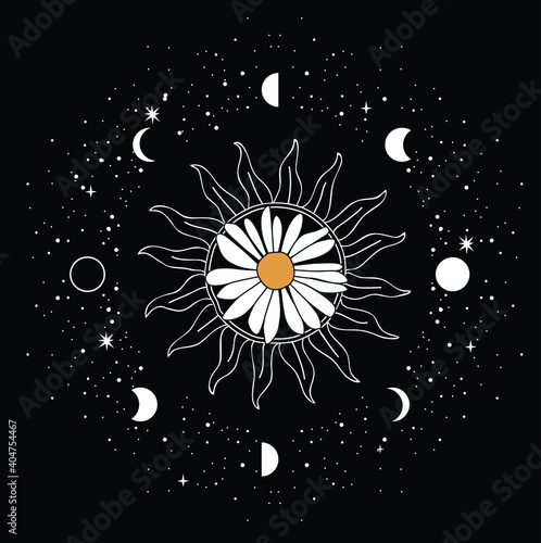 Celestial sun daisy flower