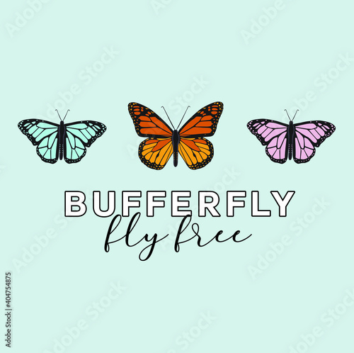 butterfly illustrations