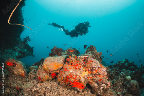 Coral reef and scuba diving scene underwater, divers enjoying colorful reef and tropical fish in clear blue water