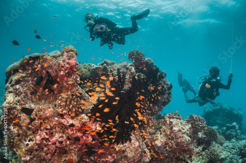 Coral reef and scuba diving scene underwater,  scuba diver enjoys colorful reef and tropical fish in clear blue water © Aaron