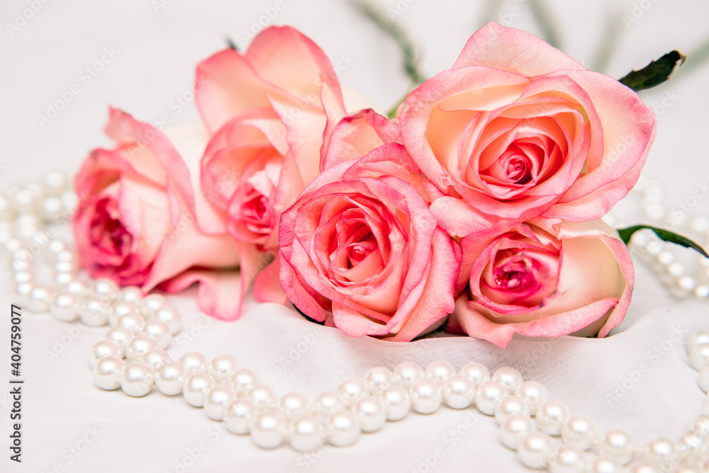 The branch of pink rose on white fabric background
The branch of pink rose on white fabric background
