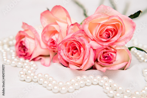 The branch of pink rose on white fabric background 