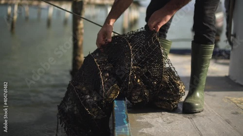 Marine oysters and seafood farm