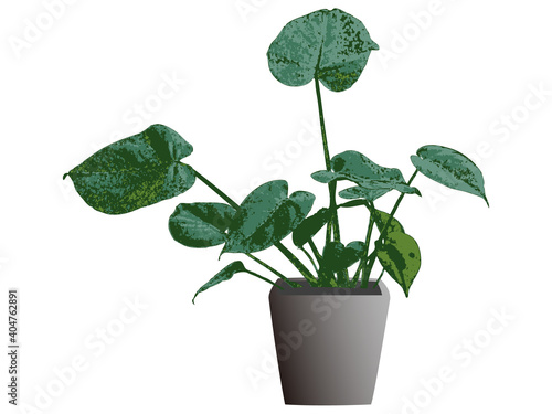 観葉植物のシルエット_7