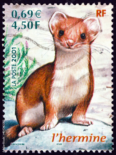 Obraz na płótnie Postage stamp France 2001 short-tailed weasel w salonie