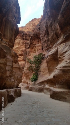 Siq in Petra