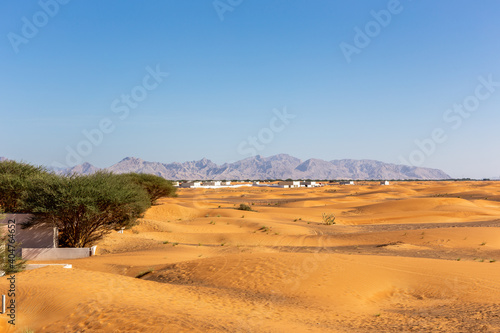 Desert landscape with sand dunes, residential buildings and wild Ghaf trees, with Hajar Mountains in the background, Al Madam, United Arab Emirates