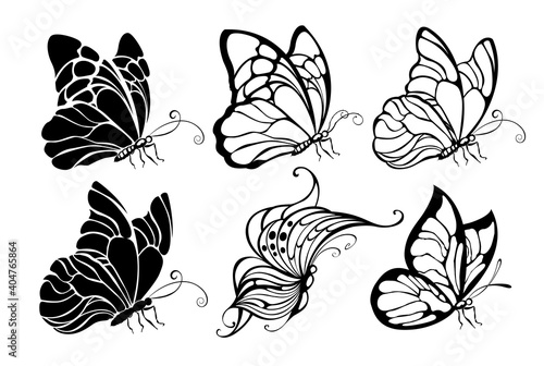 Photography Seated butterflies