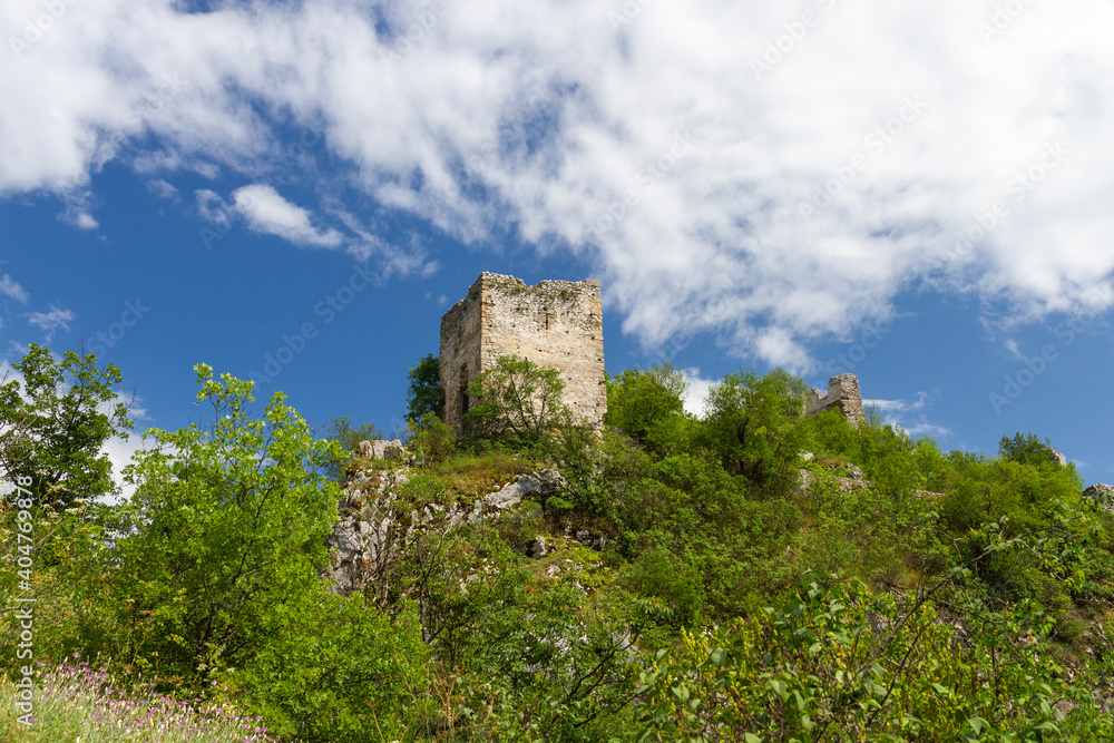 Ruins of castle, Serbia