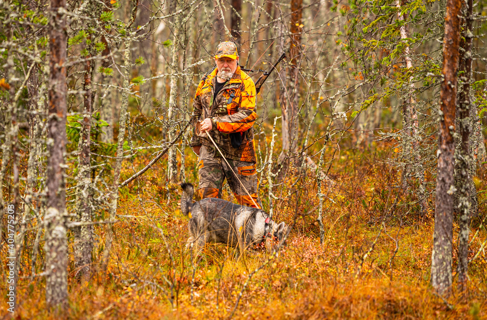 Hunter and his elkhound outdoor in the wilderness