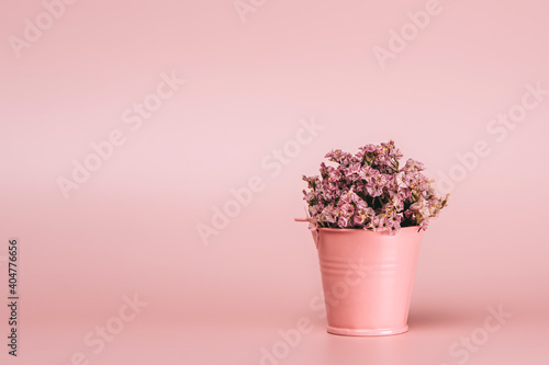 Pink metal basket with natural flowers on pink background. © bedya