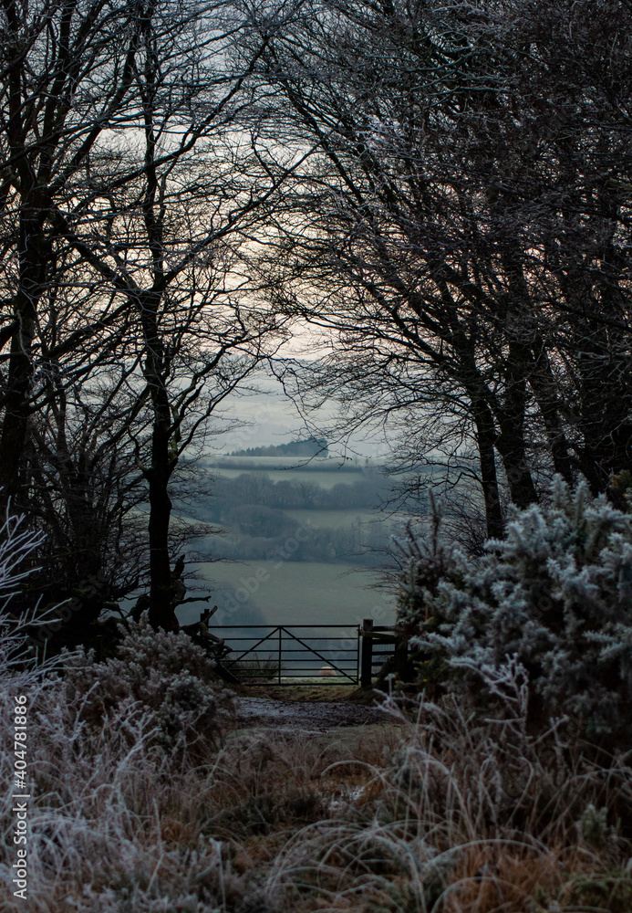 Φωτογραφία Stunning foggy and frosty sunrise landscape at Haddon Hill, Exmoor national park