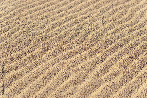 Wavy sand texture background. Dented wave of the blow of the wind