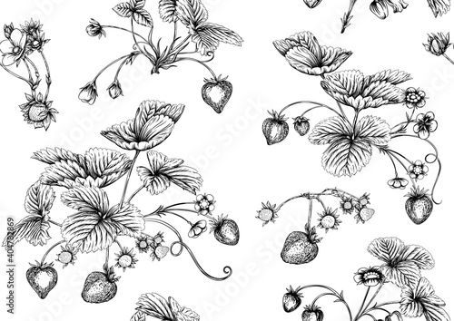 Strawberry. Ripe berries. Seamless pattern, background. Vector illustration. In graphic, egraving, botanical style Isolated on white background