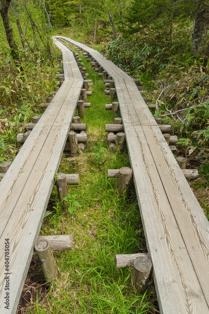 wooden path of hiking trail in Hotaka mountain range, Kamikochi national park, Kamikochi, Japan
