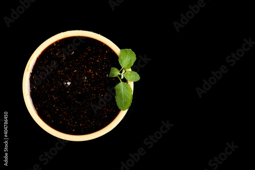 tamarind sauce in bowl on dark background photo