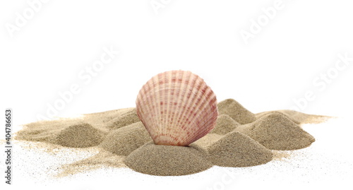 Beach sand pile with sea shell, clam isolated on white background
