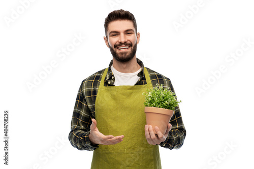 gardening, floristry and people concept - happy smiling male gardener in apron with flower in pot over white background photo