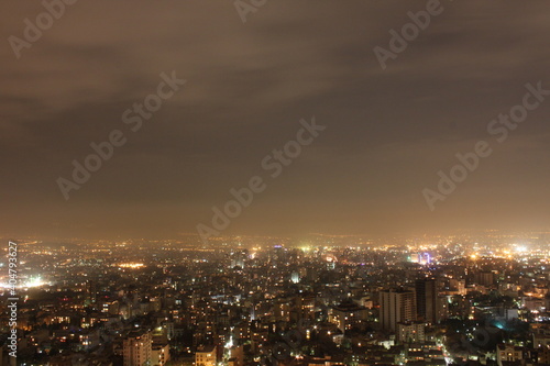Aerial view of Tehran capital of Iran at night