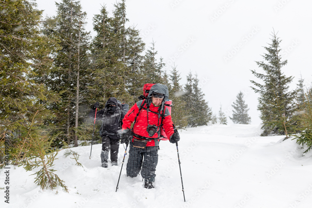 Two hikers under snowfall in the mountains