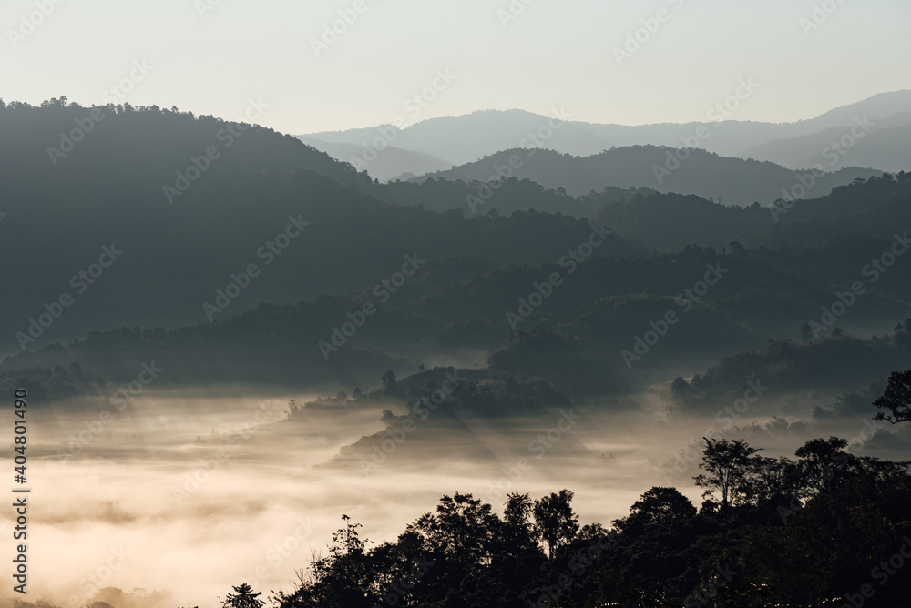 Naklejka premium The scenery of Phu Langka in the morning sunrise at Phayao province, Thailand.