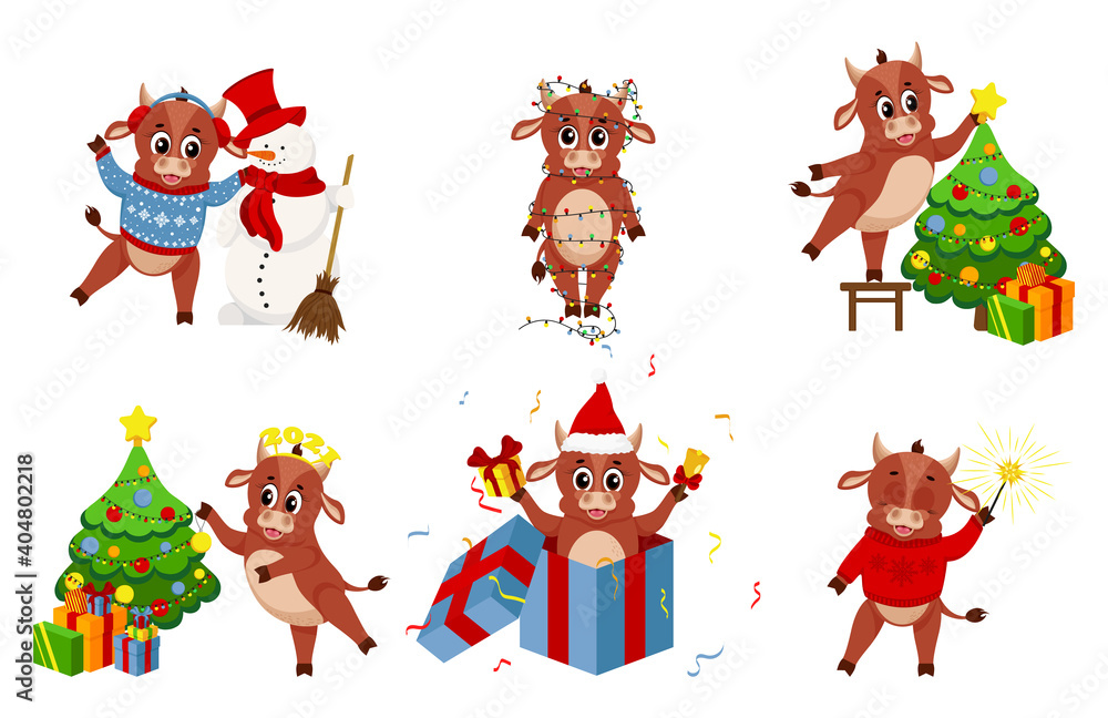Cartoon ox 2021. Happy chinese new year 2021, year of cow. Set of Christmas graphics, cute little bulls for new year design.