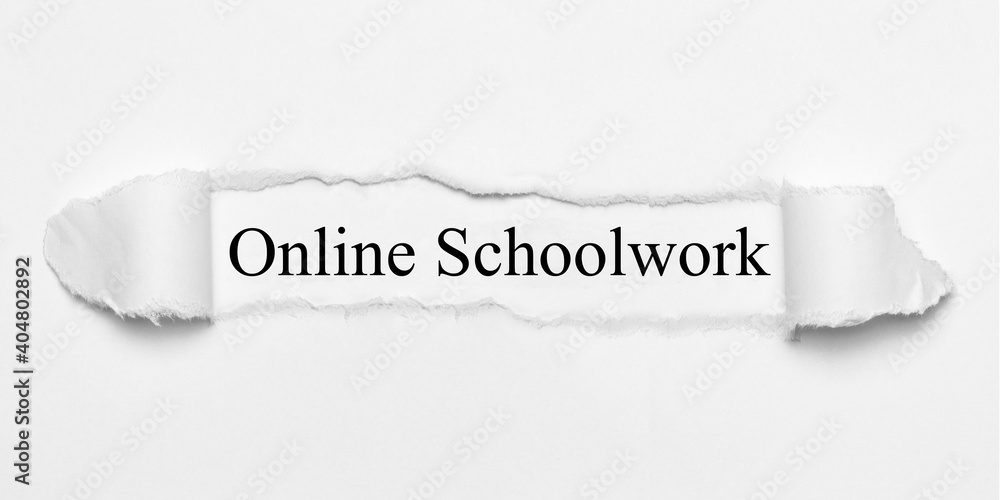 Obraz premium Online Schoolwork