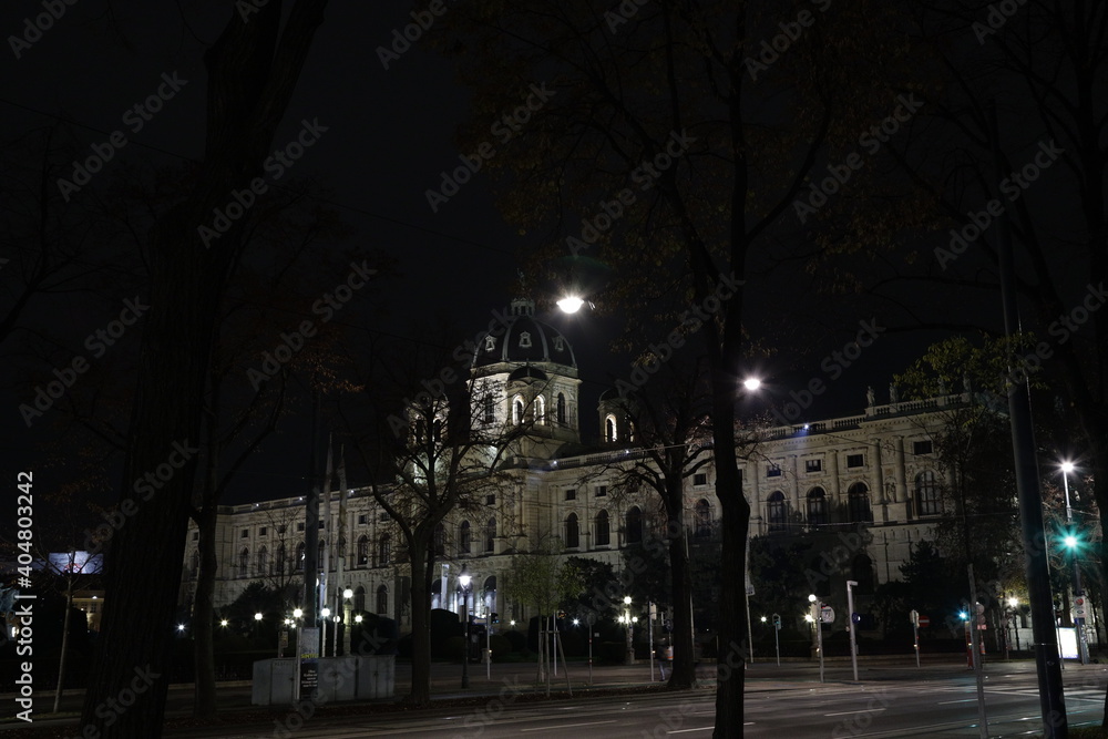 The beautiful city of Vienna during night