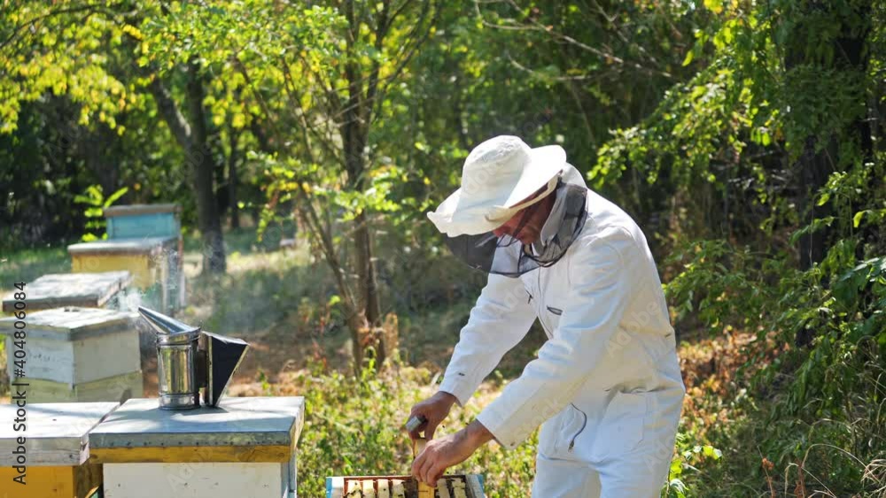 Beekeeper holding a honeycomb. Beekeeper inspecting honeycomb frame at apiary Beekeeper holding a honeycomb. Beekeeper inspecting honeycomb frame at apiary