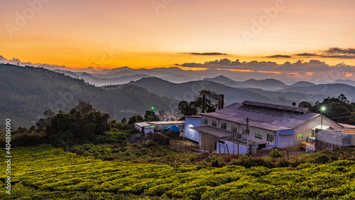 sunset over the green mountains landscape of Ooty. Ooty or Ootacamund or Udhagamandalam is a popular hill station in India photo