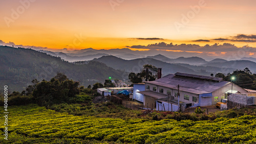 Cuadro en lienzo sunset over the green mountains landscape of Ooty