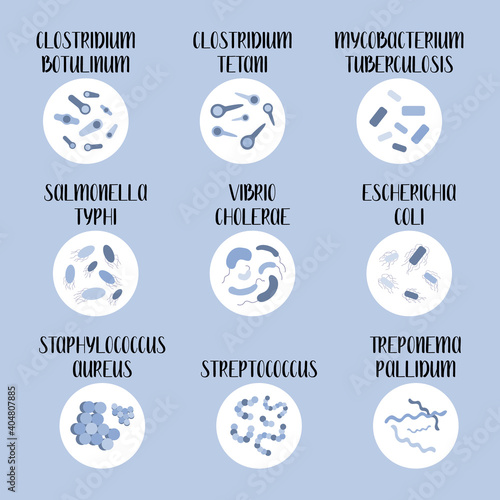 9 most pathogenic bacteria: Escherichia Coli, Staphylococcus Aureus, Streptococcus, Clostridium, Salmonella. Dangerous infections. Bacteriology. Morphology. Microbiology. Vector flat illustration