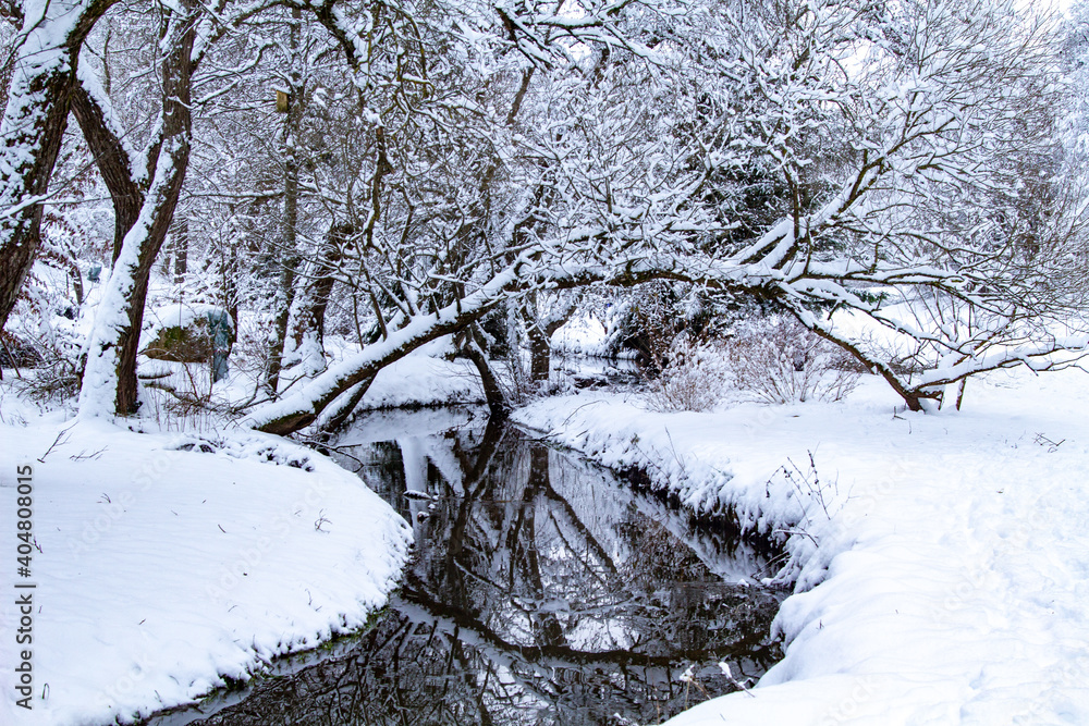Small river in the forest during Winter time. Blackwater river. Nature Stock Photos. Small river in the forest during Winter time. Blackwater river. Nature Stock Photos.