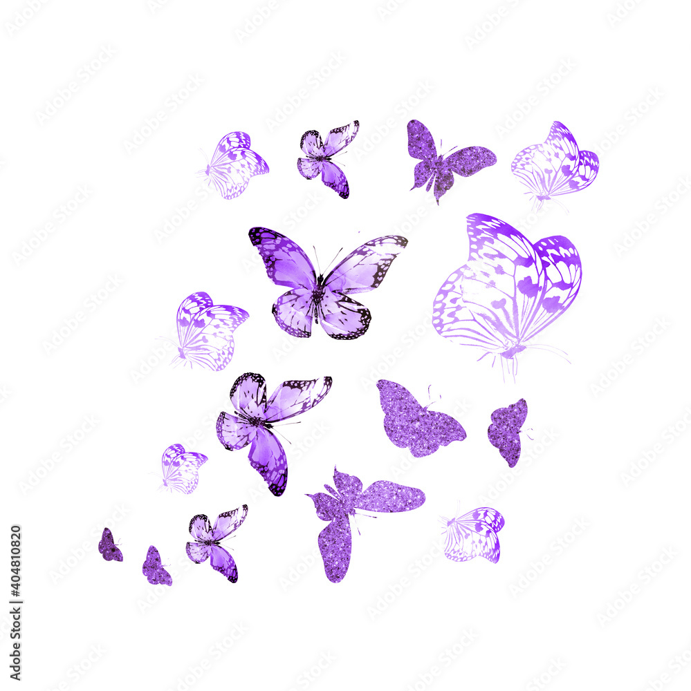 Fototapeta premium Flock of silhouette butterflies on white