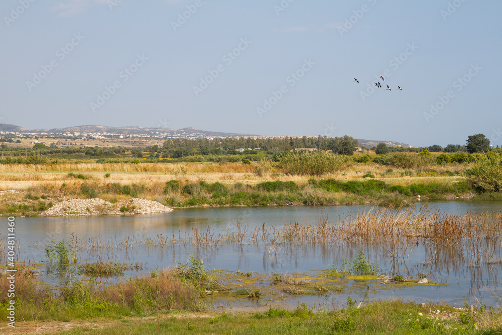 Landscape Larnaka, Cyprus