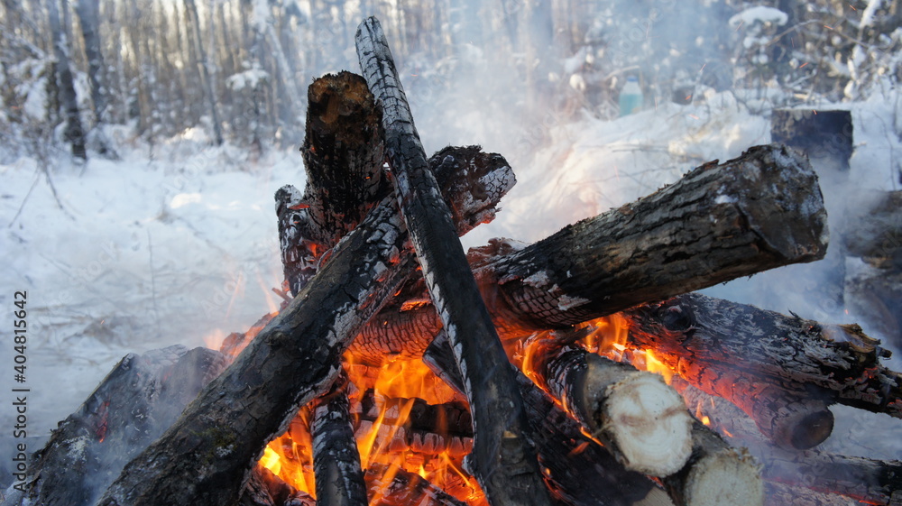 Big bonfire in the winter forest, fire on the background of snow