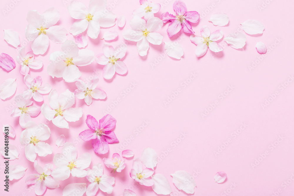 pink  apple flowers on pink background