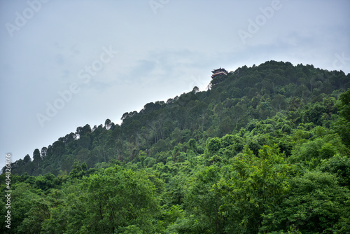 Mountain vegetation and Pinus bungeana forest
