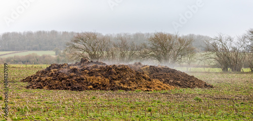 Pile of steaming manure in middle of field in English countryside
