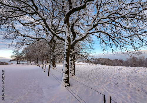 Sauerland WInter Schnee Zaun Weide Wiese Landschaft Wonderland Idyll Frost weiß Bäume Wald Natur Silhouetten Iserlohn Deutschland Wandern unberührt weiß Sonnenuntergang Äste Weihnachten blauer Himmel photo