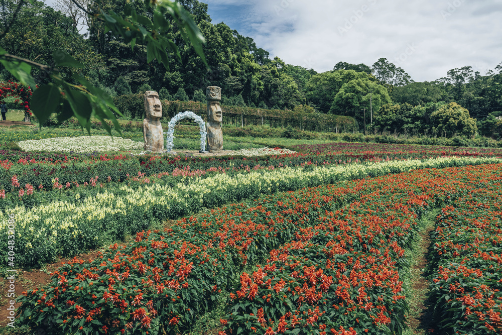 Fotografie Travel in Taiwan