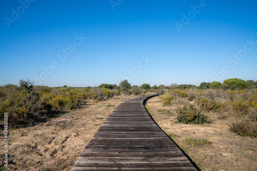 Donana National Park landscape in Andalusia with a long wooden boardwalk under a blue sky