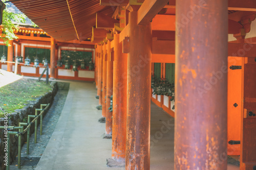 【奈良公園】奈良 © shun segawa