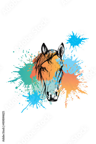 Fototapeta Naklejka Na Ścianę i Meble -  Horse sketch. Colorful sublimation on white background
