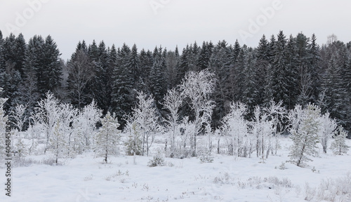 Winter © John Sandoy