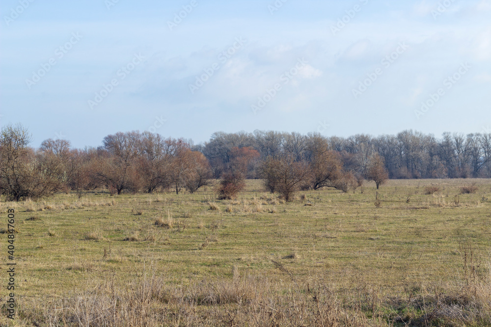 steppe and trees of late autumn, landscape