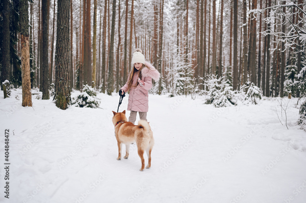 Happy family weekend - little cute girl in pink warm outwear walking having fun with red shiba inu dog in snowy white cold winter forest outdoors. Kids sport vacation activities concept. Happy family weekend - little cute girl in pink warm outwear walking having fun with red shiba inu dog in snowy white cold winter forest outdoors. Kids sport vacation activities concept.