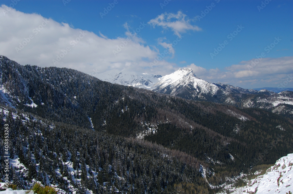Widok na Tatry zimą, Zakopane, Polska